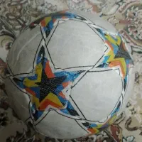 توپ چمن نوع قیمت۱۱۰۰
