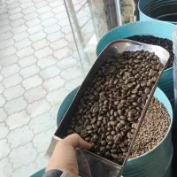 دان قهوه ، قهوه ، قهوه اسپرسو