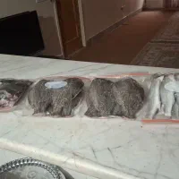 صید روز|خوردنی و آشامیدنی|اصفهان, رسالت|دیوار