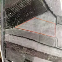 زمین-دارای-پروانه-دامپروری-جاده-کلانتری