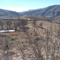 کارگر مرغداری