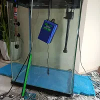 آکواریوم شرکتی شیشه خم