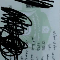 کیف گم شده