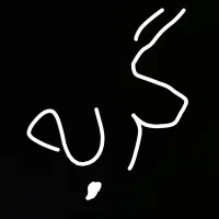 گربه پیدا شده