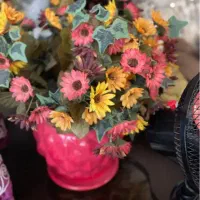 ظروف قجری|کلکسیون اشیاء عتیقه|کرمانشاه, |دیوار