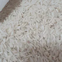 برنج طارم هاشمی۲۵۰