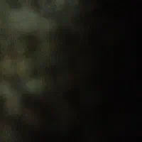 فروش-زمین-کشاورزی