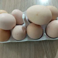 تخم‌مرغ‌محلی