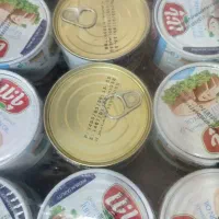 تن ماهی 180 گرم پانلا