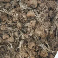 فروش پیاز زعفران|خدمات باغبانی و درختکاری|تهران, ولنجک|دیوار
