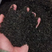 چای چوبدار قهوه خانه ای|خوردنی و آشامیدنی|بابلسر, |دیوار