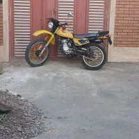 ایکسل 250 وحشی