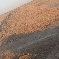 کود مرغی تخمی و گوشتی