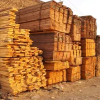 تعدادی نردبان زیر قیمت بازار چوبی بلند و کوتاه|عمده‌فروشی|تهران, مشیریه|دیوار