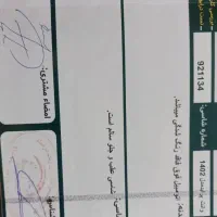 بی رنگ با کارت سوخت فعال   SE  1402|خودرو سواری و وانت|فردیس, سرحد آباد|دیوار