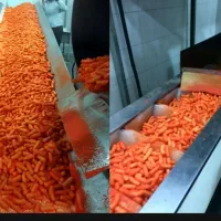 کارگرخانم آقا/کارخانه چیپس پفک/راننده موزع|استخدام صنعتی، فنی، مهندسی|اسلامشهر, شهرک قائمیه|دیوار