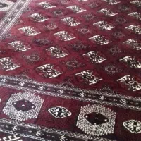 فرش دستبافت زیرقیمت|فرش|بندر ترکمن, |دیوار