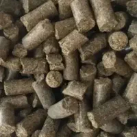 خوراک دام نیشکر