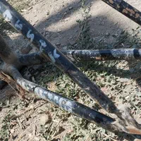 دوتا تنه دوچرخه دماوند 26