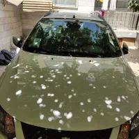 کوییک1404