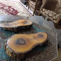 شلف دیواری طرح تنه درخت (کنده درخت )رزین شده|کتابخانه، شلف، قفسههای دیواری|فردیس, شهرک شهید حسینی|دیوار