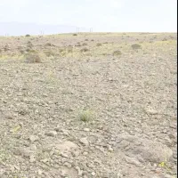 زمین ۷ هکتار