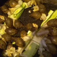 حلزون آلبینو سوپرمولد