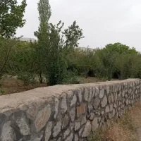 باغ-زمین