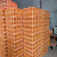 قفس مرغی یزد مواد نو درجه یک فروش