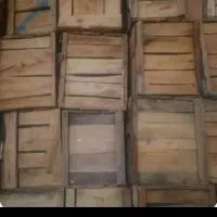 آلما قوطوسو جعبه چوبی آلیرام