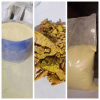 پخش تولید نوره زنیخ اصلی