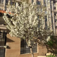 فروش مغازه ۱۸ متری در زیبا شهر