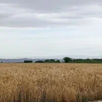 پذیرش اجاره گریدر برای زمین در رامشیر