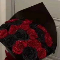 اینجا و نگاه نکنی باختی