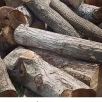 خرید انواع چوب گردو صنوبر بید وغیره ...|خدمات باغبانی و درختکاری|زاینده رود, |دیوار