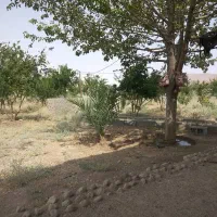 باغ ۱۷۰۰ متری در روستای قندیلک|فروش زمین و ملک کلنگی|شیراز, کفترک|دیوار