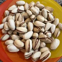 انس ۲۲ پسته اکبری