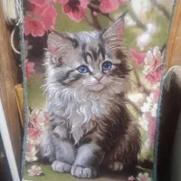 تابلو فرش طرح دو گربه بهاری|تابلو فرش|تبریز, |دیوار