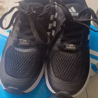 کفش اسپرت ورزشی آدی داس|کیف، کفش، کمربند|شیراز, دکتر حسابی|دیوار