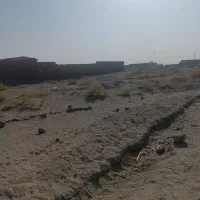 زمین