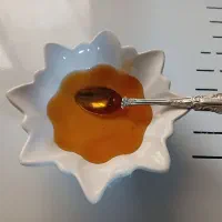 عسل طبیعی خراسان|خوردنی و آشامیدنی|دابودشت, |دیوار