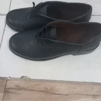 تعدادی کفش نو ودرحدنو