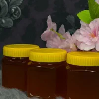 عسل کنار کاملا طبیعی و درمانی