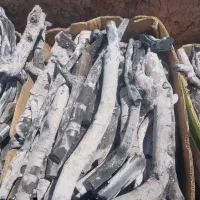 پخش ذغال پسته عسگری