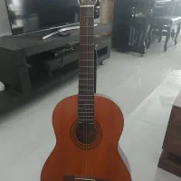 گیتار هافنر ۲۰۴