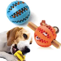 فروش انواع ملزومات و غذای پت|لوازم جانبی حیوانات|کرج, فاز ۲ مهرشهر|دیوار