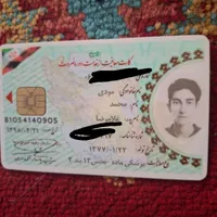 پیداشده