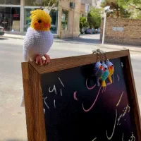 گالری بدلیجات ژوپینگ و اکسسوری هشت|بدلیجات|مشهد, کوثر|دیوار