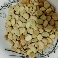 3تن موجود|خوردنی و آشامیدنی|مهربان, |دیوار