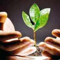 به راحتی عبورکن از دامش